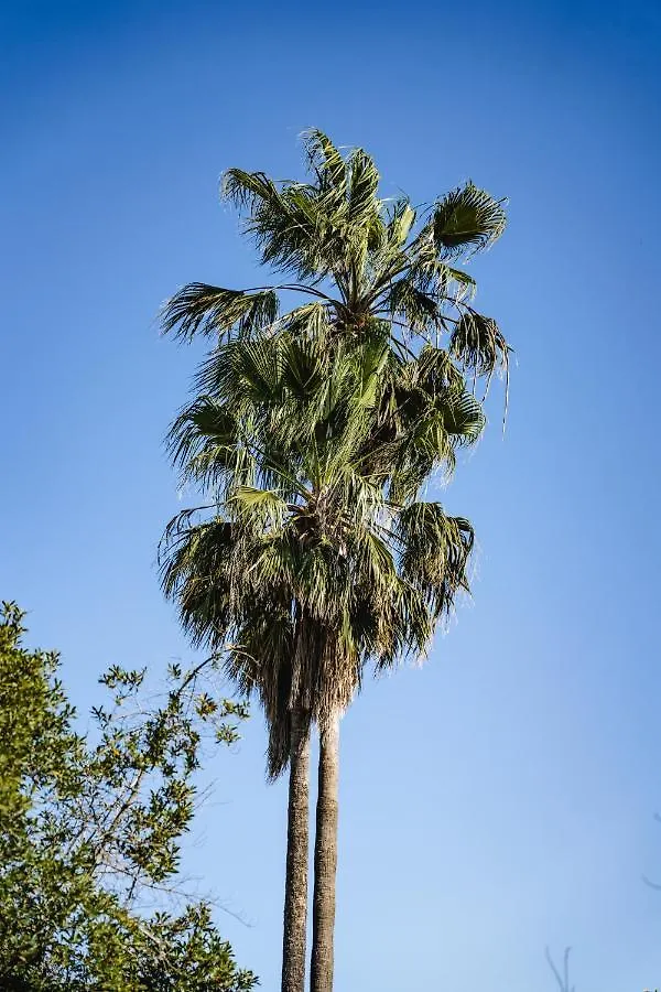 Villa Carvi San Antonio  0*, San Antonio (Ibiza)